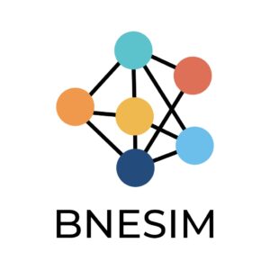 bnesim-china-esim-price-review